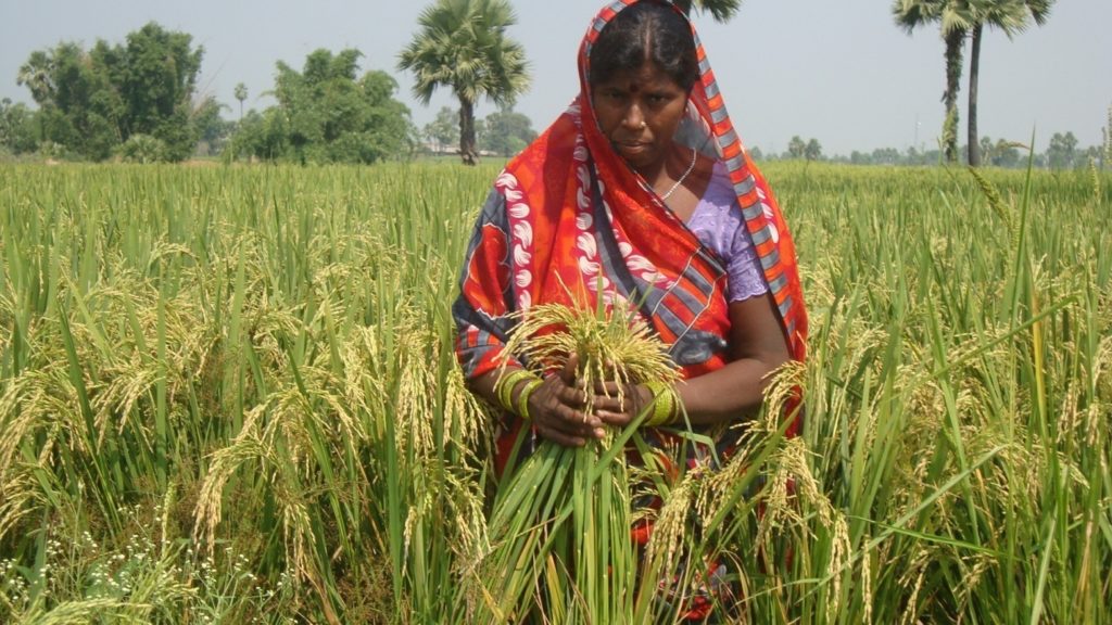 Pradan case study 08 picture